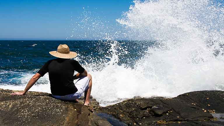 Image for the post titled as Terry Halpin