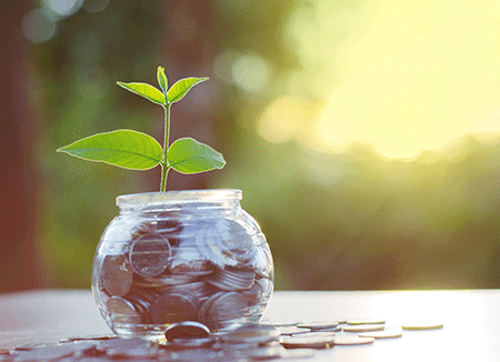 jar of money with plant growing out of it