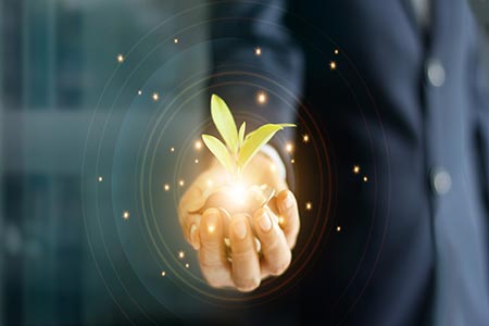 display of growing wealth by dividend reinvesting