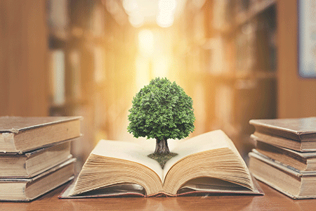 book with tree growing out of it