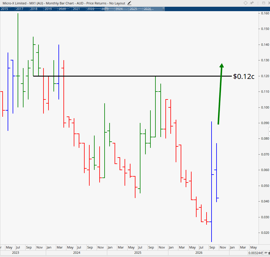 Monthly bar chart of Micro-X.