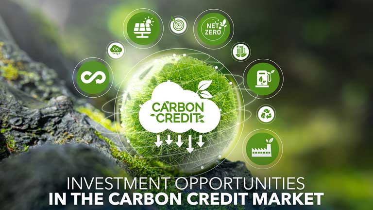 What are the Investment Opportunities in the Carbon Credit Market