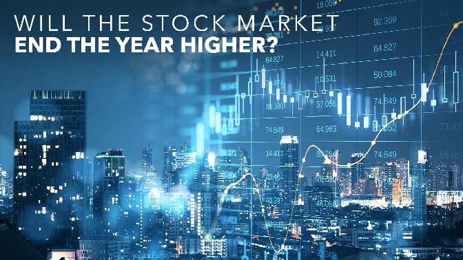 Market Report 06 February 2023